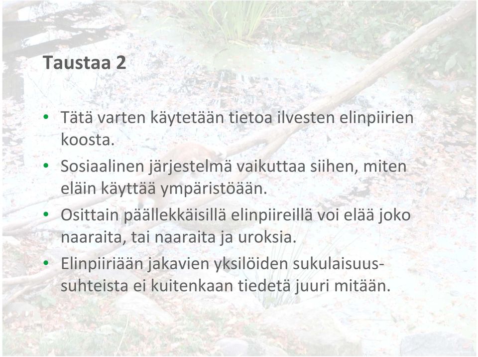 Osittain päällekkäisillä elinpiireillä voi elää joko naaraita, tai naaraita ja