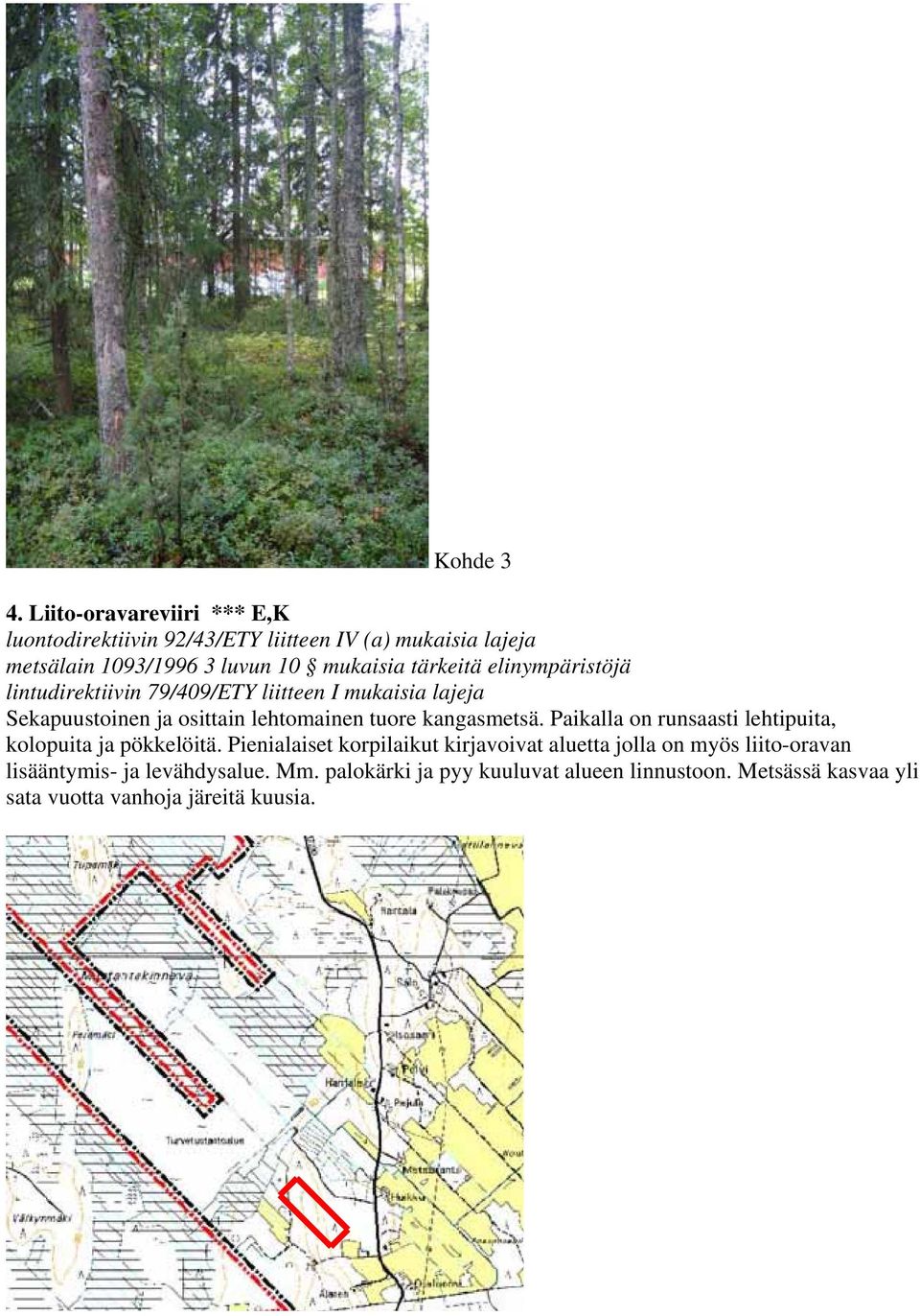 elinympäristöjä lintudirektiivin 79/409/ETY liitteen I mukaisia lajeja Sekapuustoinen ja osittain lehtomainen tuore kangasmetsä.