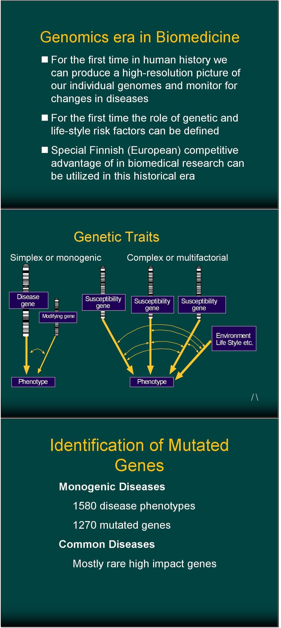 historical era Genetic Traits Simplex or monogenic Complex or multifactorial Disease gene Modifying gene Susceptibility gene Susceptibility gene Susceptibility gene