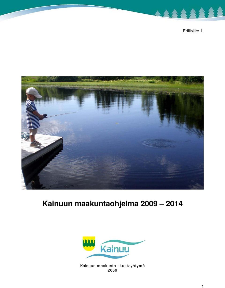 maakuntaohjelma 2009