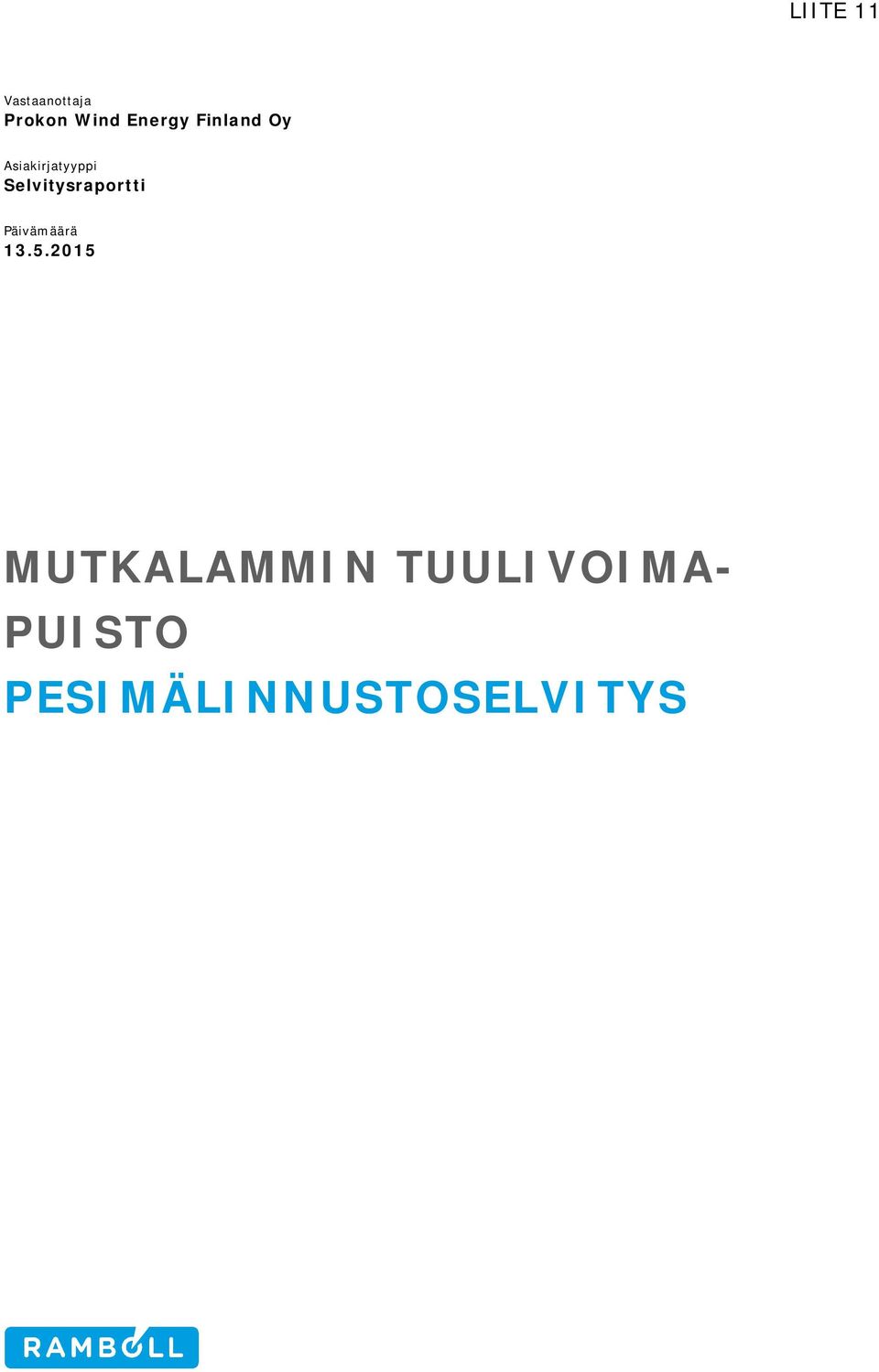 Selvitysraportti Päivämäärä 13.5.