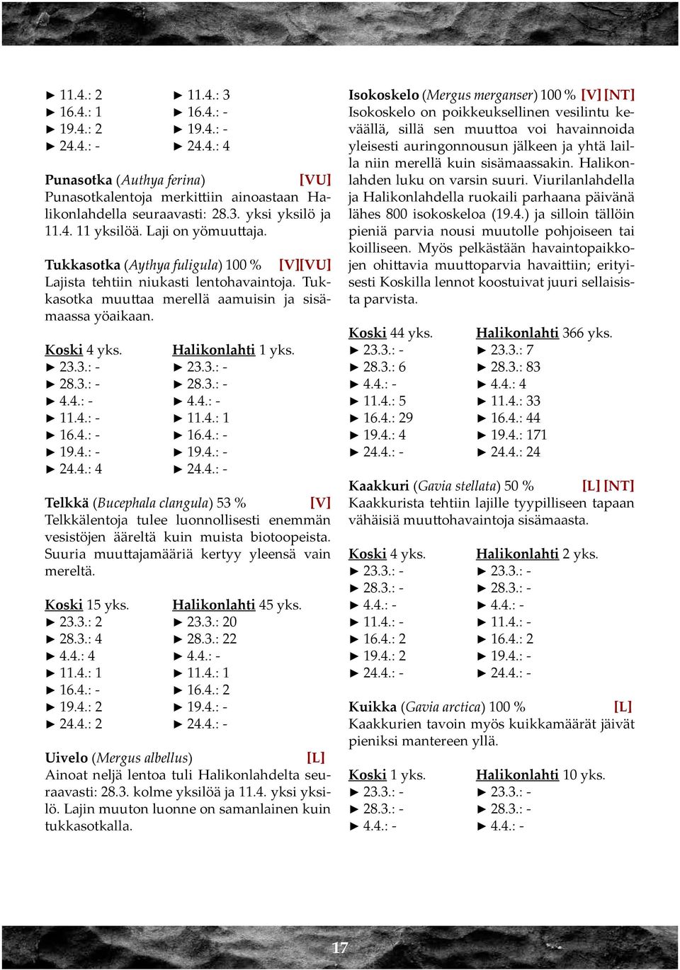 28.3.: - 28.3.: - 4.4.: - 4.4.: - 11.4.: - 11.4.: 1 16.4.: - 16.4.: - 19.4.: - 19.4.: - 24.4.: 4 24.4.: - Telkkä (Bucephala clangula) 53 % [V] Telkkälentoja tulee luonnollisesti enemmän vesistöjen ääreltä kuin muista biotoopeista.