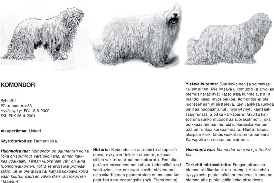 Se ei ole ajava tai karjaa kokoava koira vaan kuuluu suurten valkoisten vartiokoirien klaaniin Historia: Komondor on aasialaista alkuperää oleva, nykyisen Unkarin alueelle jo kauan sitten vakiintunut