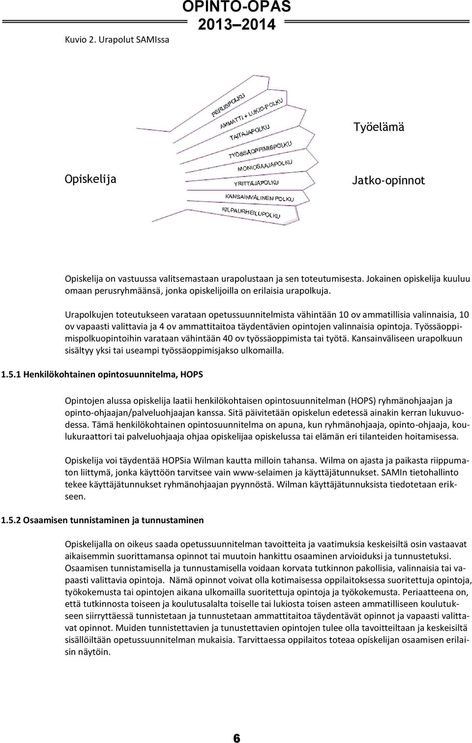 Urapolkujen toteutukseen varataan opetussuunnitelmista vähintään 10 ov ammatillisia valinnaisia, 10 ov vapaasti valittavia ja 4 ov ammattitaitoa täydentävien opintojen valinnaisia opintoja.