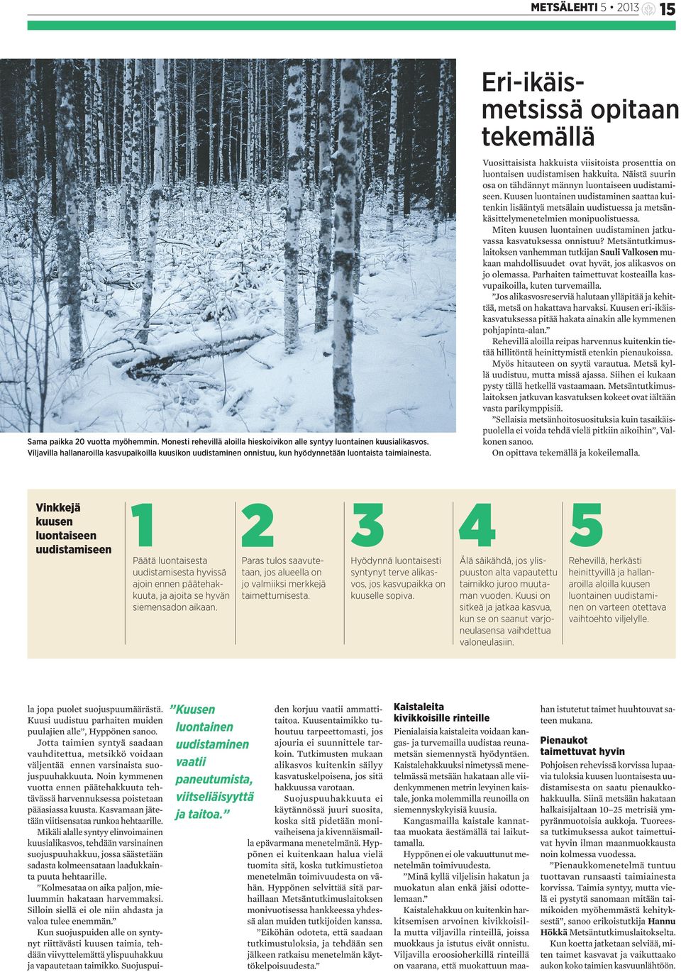 Eri-ikäismetsissä opitaan tekemällä Vuosittaisista hakkuista viisitoista prosenttia on luontaisen uudistamisen hakkuita. Näistä suurin osa on tähdännyt männyn luontaiseen uudistamiseen.