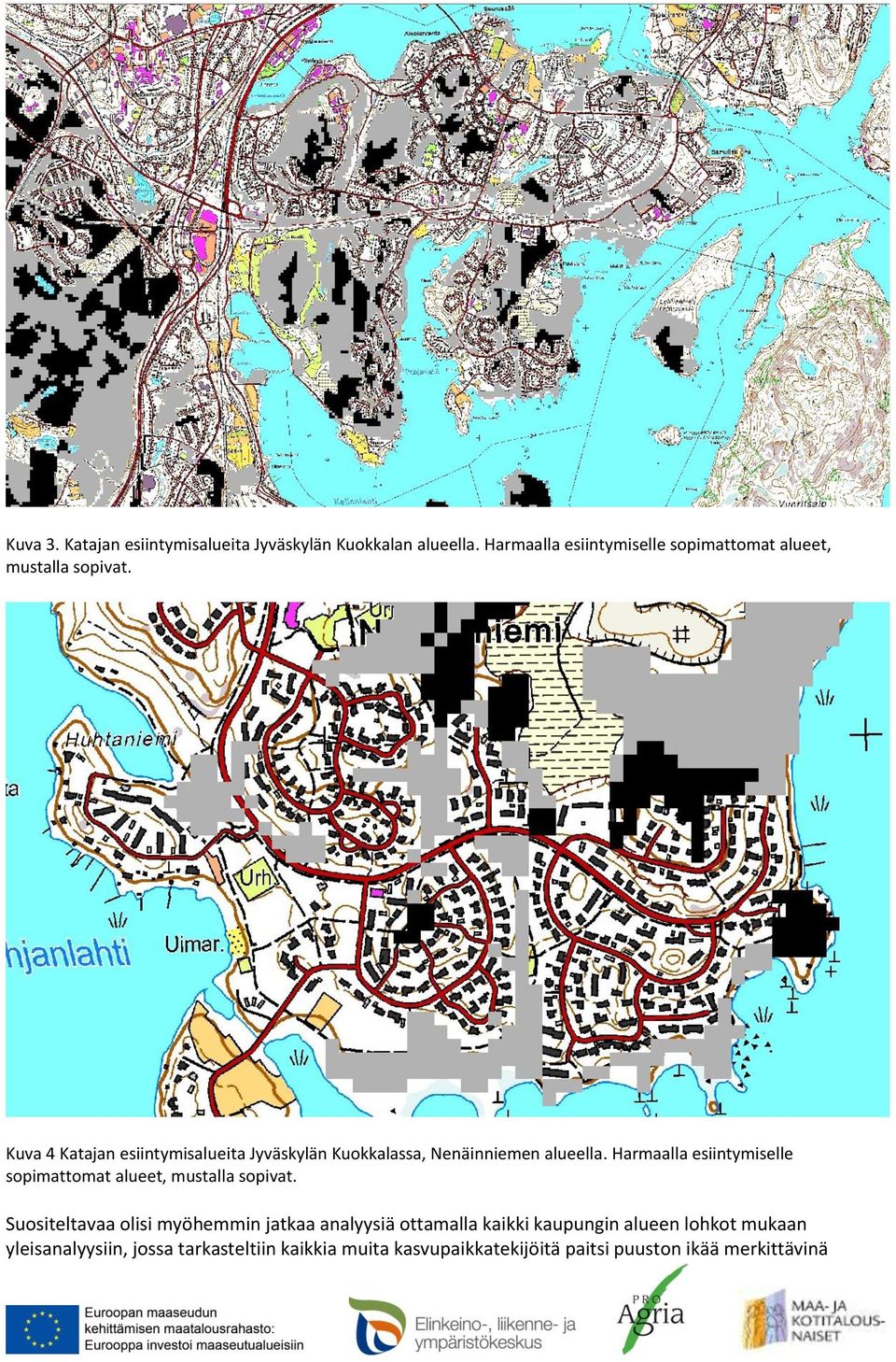 Kuva 4 Katajan esiintymisalueita Jyväskylän Kuokkalassa, Nenäinniemen alueella.