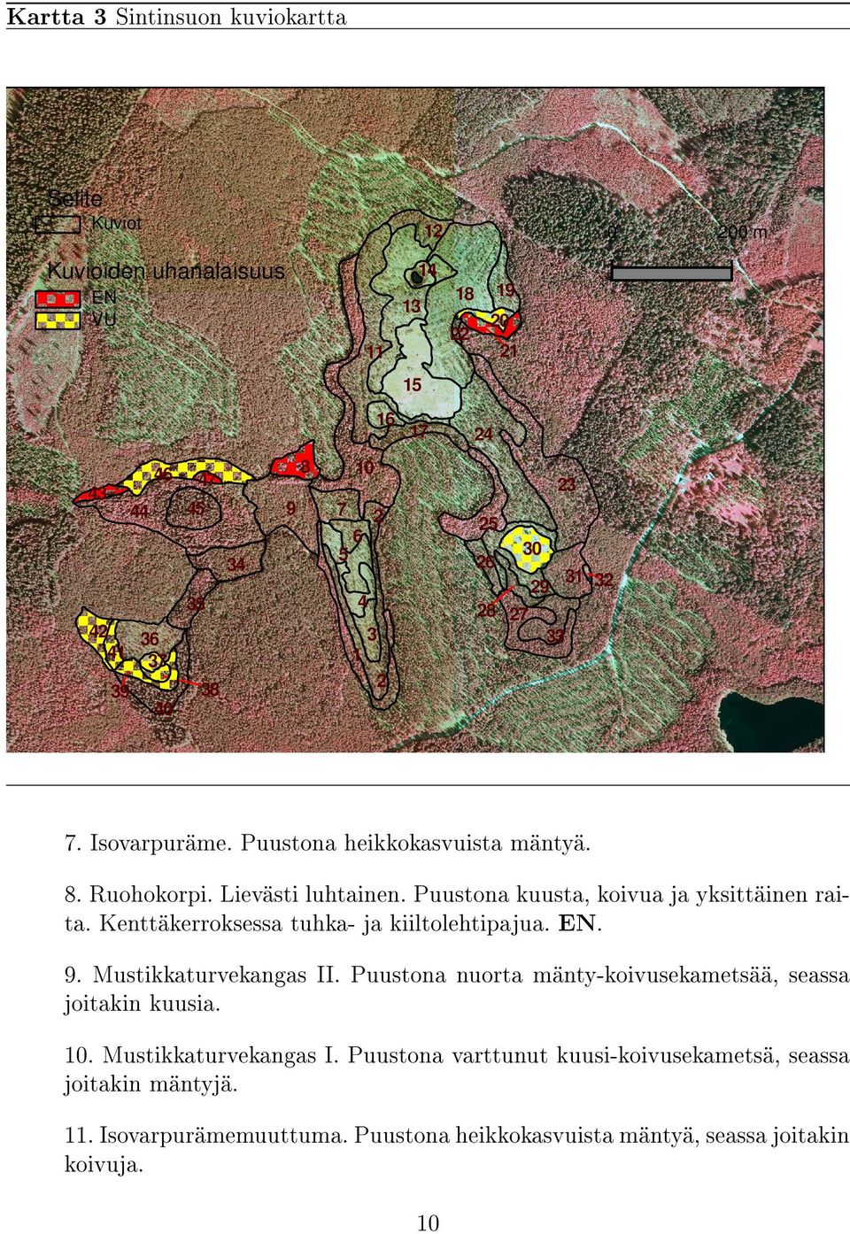 Puustona kuusta, koivua ja yksittäinen raita. Kenttäkerroksessa tuhka- ja kiiltolehtipajua. EN. 9. Mustikkaturvekangas II.