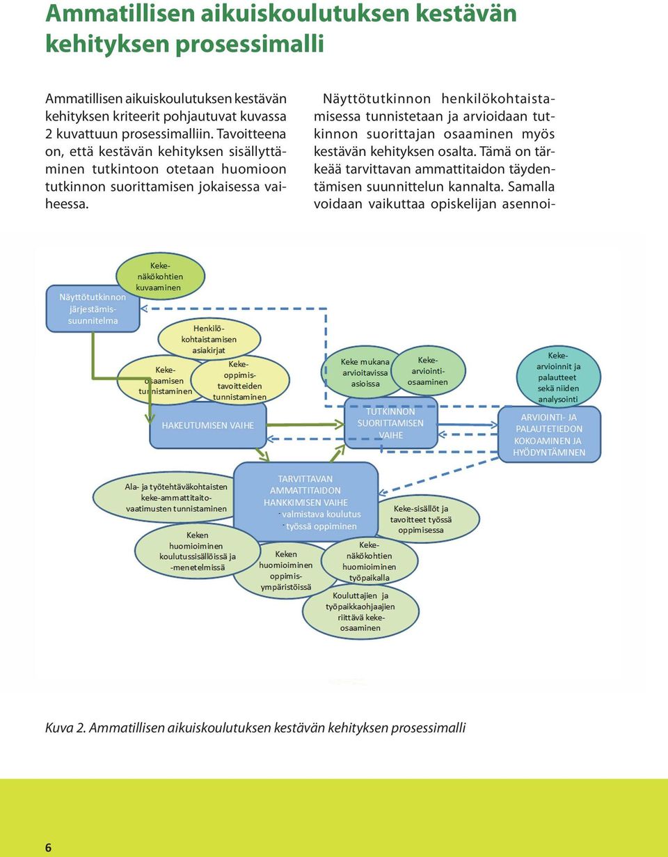 Näyttötutkinnon henkilökohtaistamisessa tunnistetaan ja arvioidaan tutkinnon suorittajan osaaminen myös kestävän kehityksen osalta.