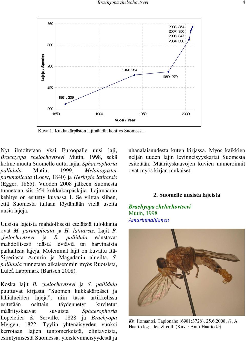 Nyt ilmoitetaan yksi Euroopalle uusi laji, Brachyopa zhelochovtsevi Mutin, 1998, sekä kolme muuta Suomelle uutta lajia, Sphaerophoria pallidula Mutin, 1999, Melanogaster parumplicata (Loew, 1840) ja