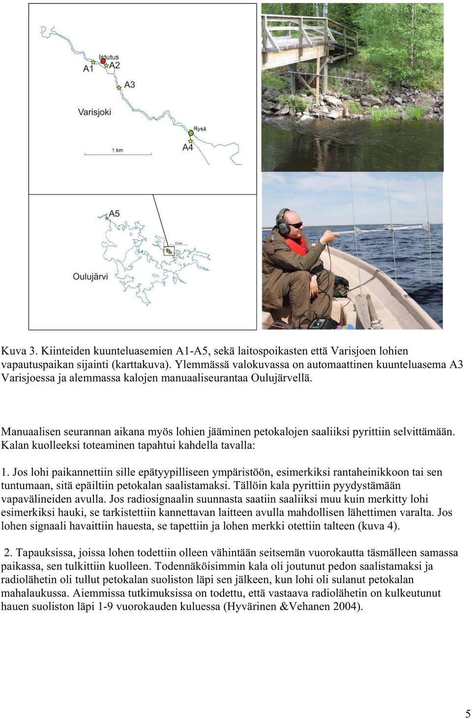 Manuaalisen seurannan aikana myös lohien jääminen petokalojen saaliiksi pyrittiin selvittämään. Kalan kuolleeksi toteaminen tapahtui kahdella tavalla: 1.