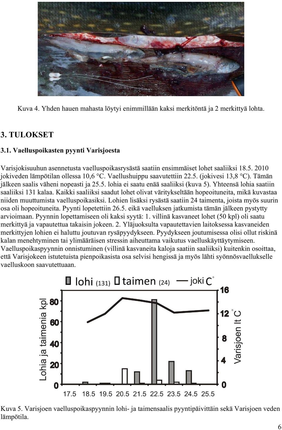 5. (jokivesi 13,8 C). Tämän jälkeen saalis väheni nopeasti ja 25.5. lohia ei saatu enää saaliiksi (kuva 5). Yhteensä lohia saatiin saaliiksi 131 kalaa.