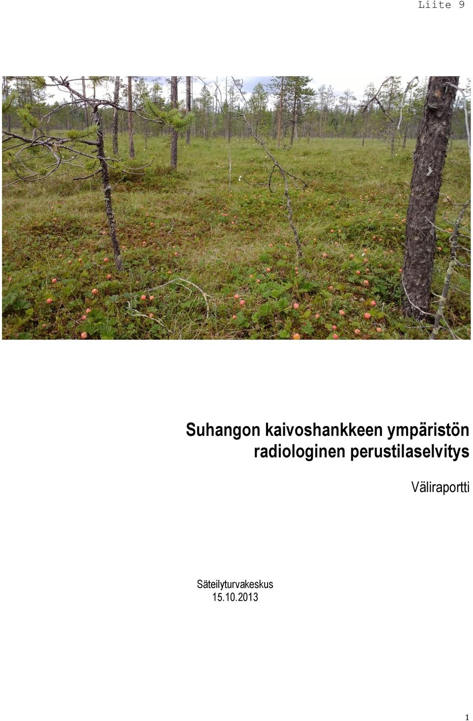 perustilaselvitys