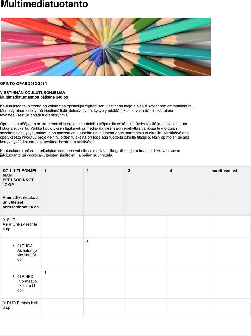 Opetuksen pääpaino on konkreettisilla projektimuotoisilla työpajoilla sekä niitä täydentävillä ja tukevilla luento_ kokonaisuuksilla.