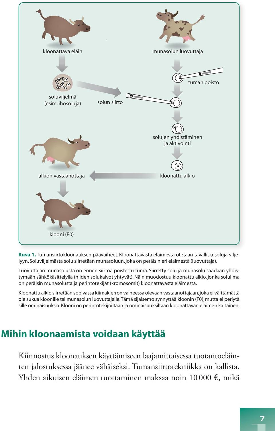 Luovuttajan munasolusta on ennen siirtoa poistettu tuma. Siirretty solu ja munasolu saadaan yhdistymään sähkökäsittelyllä (niiden solukalvot yhtyvät).