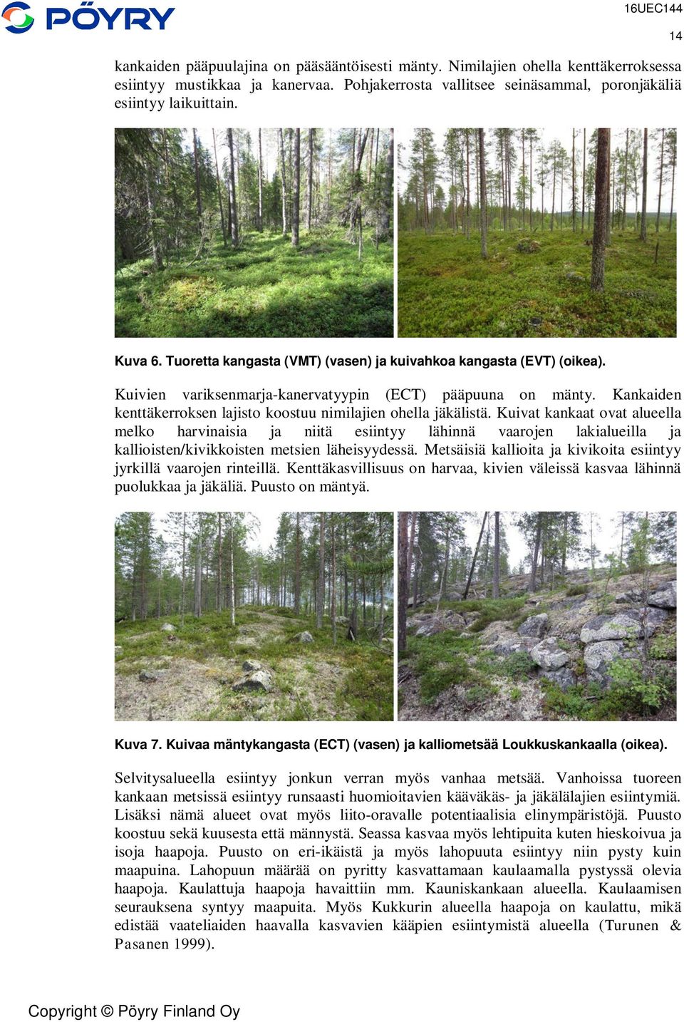Kuivat kankaat ovat alueella melko harvinaisia ja niitä esiintyy lähinnä vaarojen lakialueilla ja kallioisten/kivikkoisten metsien läheisyydessä.
