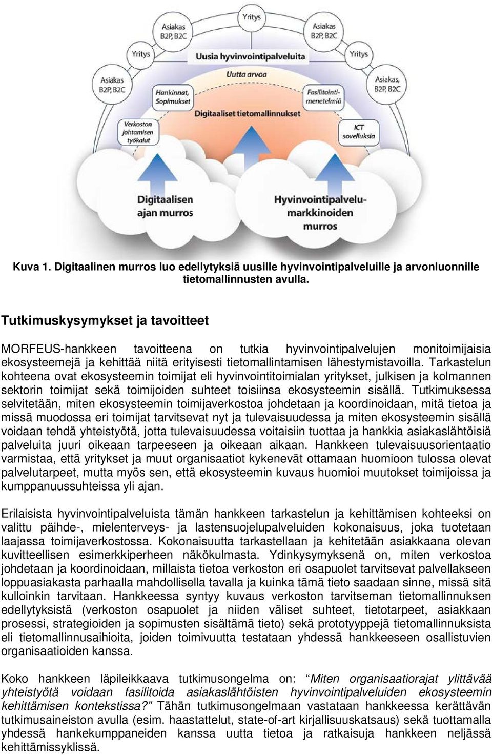 Tarkastelun kohteena ovat ekosysteemin toimijat eli hyvinvointitoimialan yritykset, julkisen ja kolmannen sektorin toimijat sekä toimijoiden suhteet toisiinsa ekosysteemin sisällä.