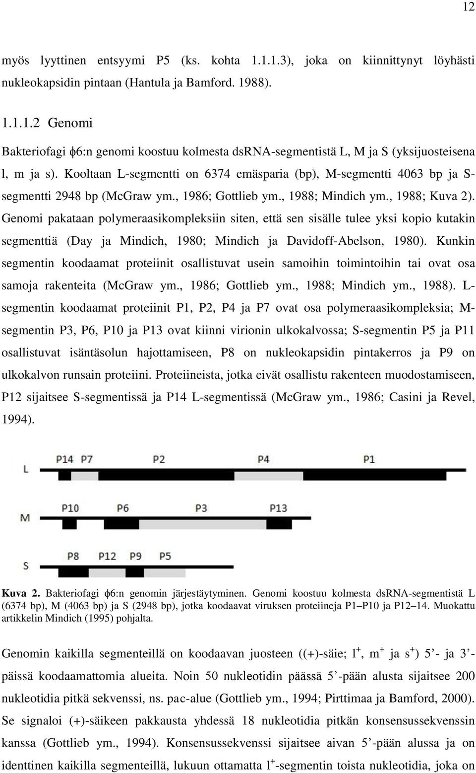 Genomi pakataan polymeraasikompleksiin siten, että sen sisälle tulee yksi kopio kutakin segmenttiä (Day ja Mindich, 1980; Mindich ja Davidoff-Abelson, 1980).