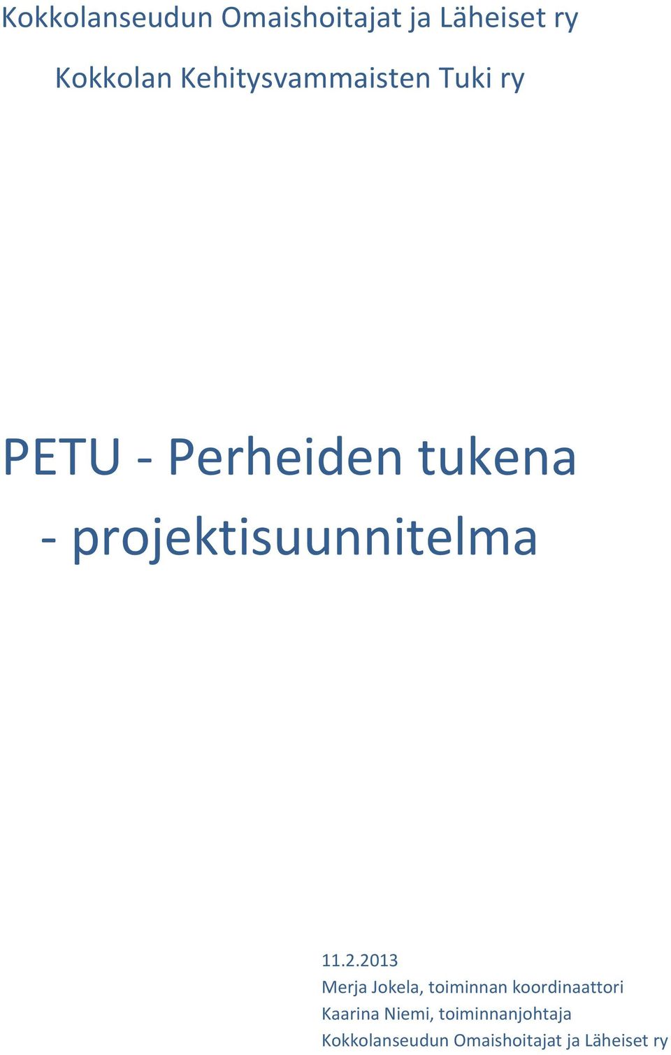 projektisuunnitelma 11.2.