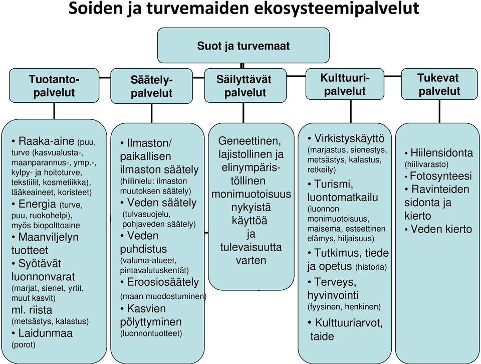 -, kylpy- ja hoitoturve, tekstiilit, kosmetiikka), lääkeaineet, koristeet) Energia (turve, puu, ruokohelpi), myös biopolttoaine Maanviljelyn tuotteet Syötävät luonnonvarat (marjat, sienet, yrtit,