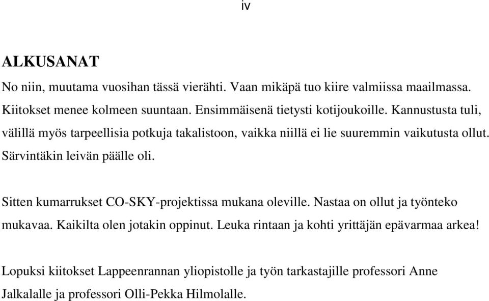 Särvintäkin leivän päälle oli. Sitten kumarrukset CO-SKY-projektissa mukana oleville. Nastaa on ollut ja työnteko mukavaa. Kaikilta olen jotakin oppinut.