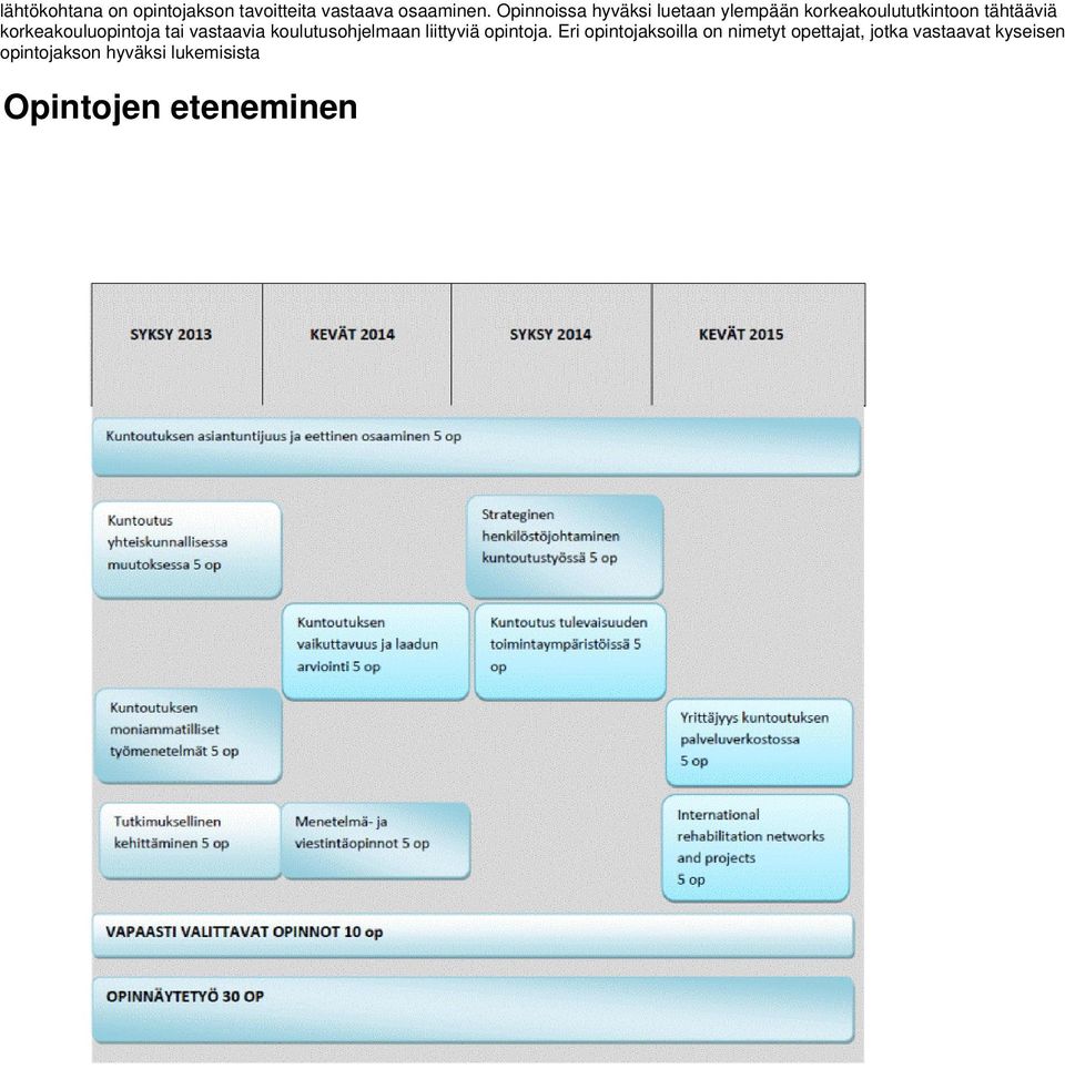 korkeakouluopintoja tai vastaavia koulutusohjelmaan liittyviä opintoja.