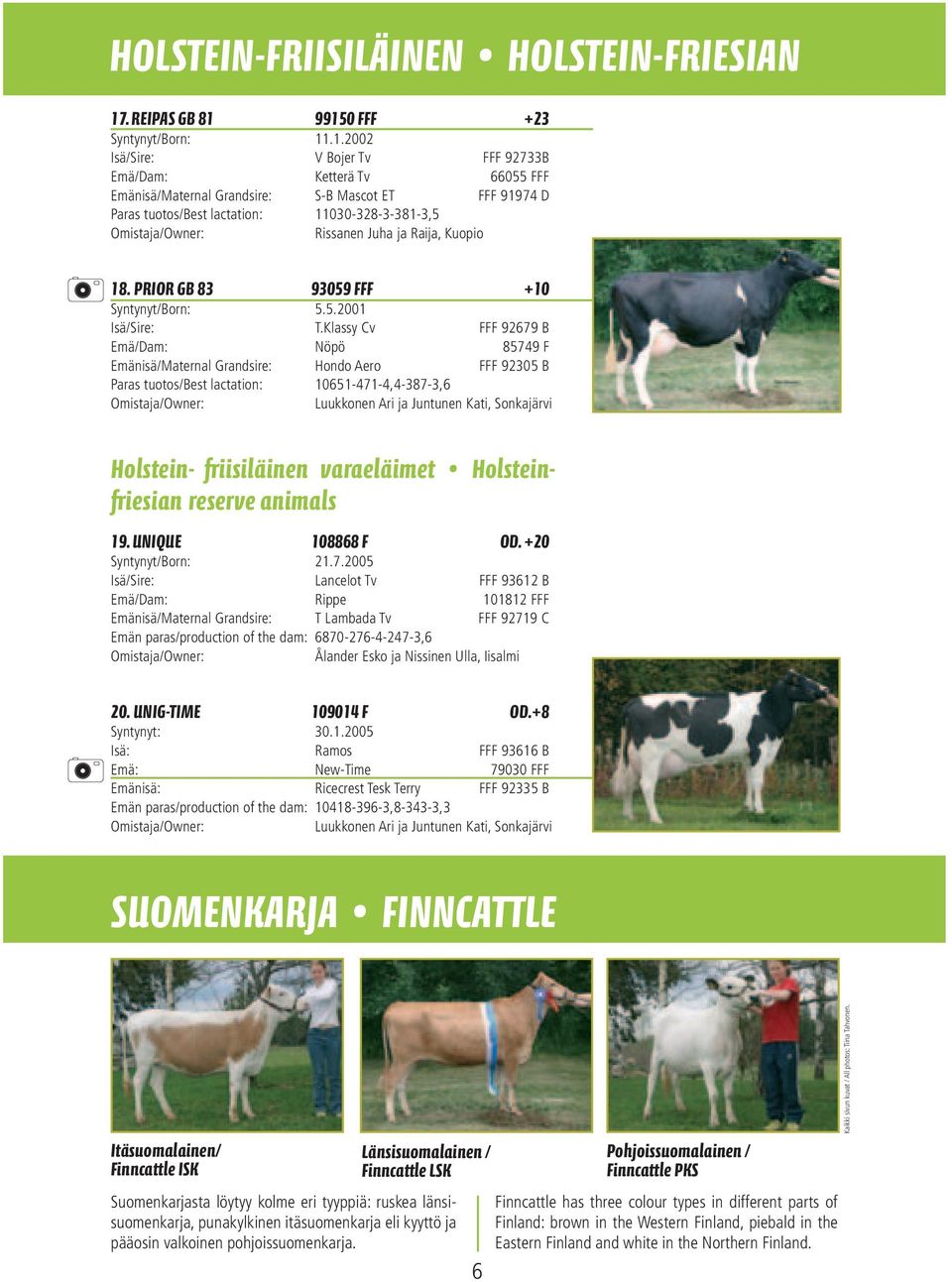 99150 FFF +23 Syntynyt/Born: 11.1.2002 Isä/Sire: V Bojer Tv FFF 92733B Emä/Dam: Ketterä Tv 66055 FFF Emänisä/Maternal Grandsire: S-B Mascot ET FFF 91974 D Paras tuotos/best lactation: