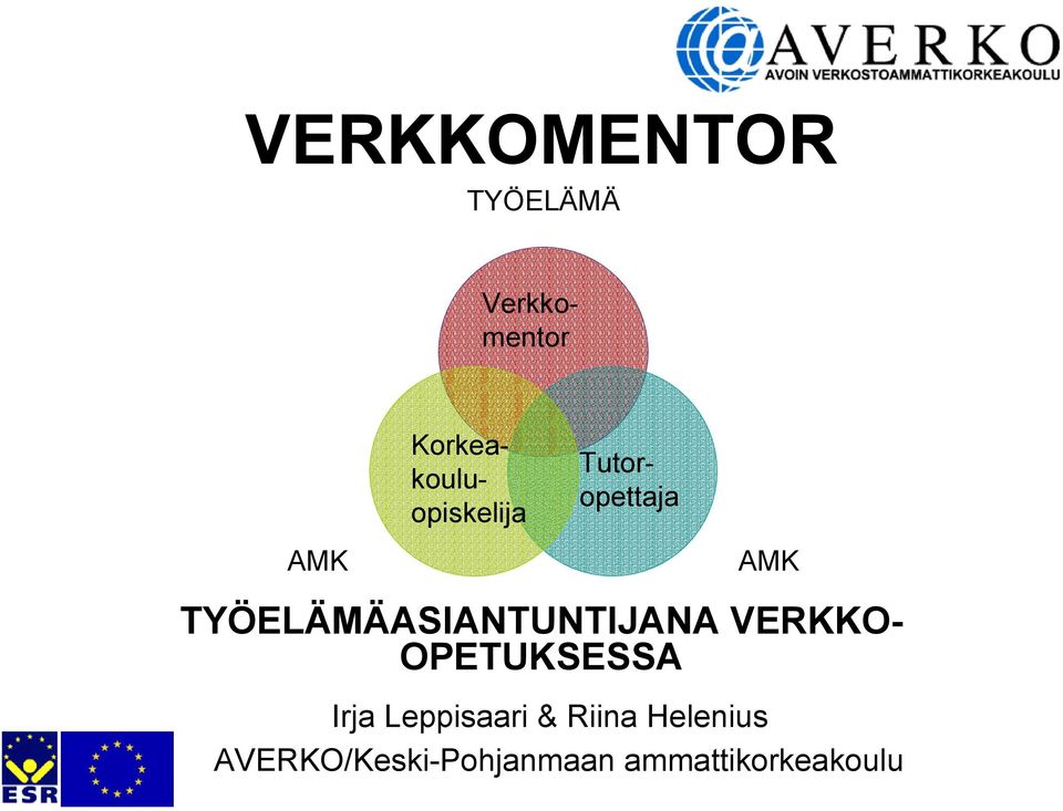 TYÖELÄMÄASIANTUNTIJANA VERKKO- OPETUKSESSA Irja