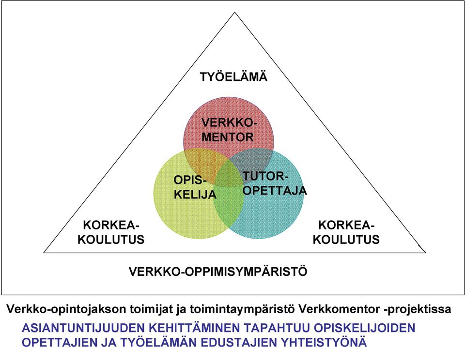 ja toimintaympäristö Verkkomentor -projektissa ASIANTUNTIJUUDEN