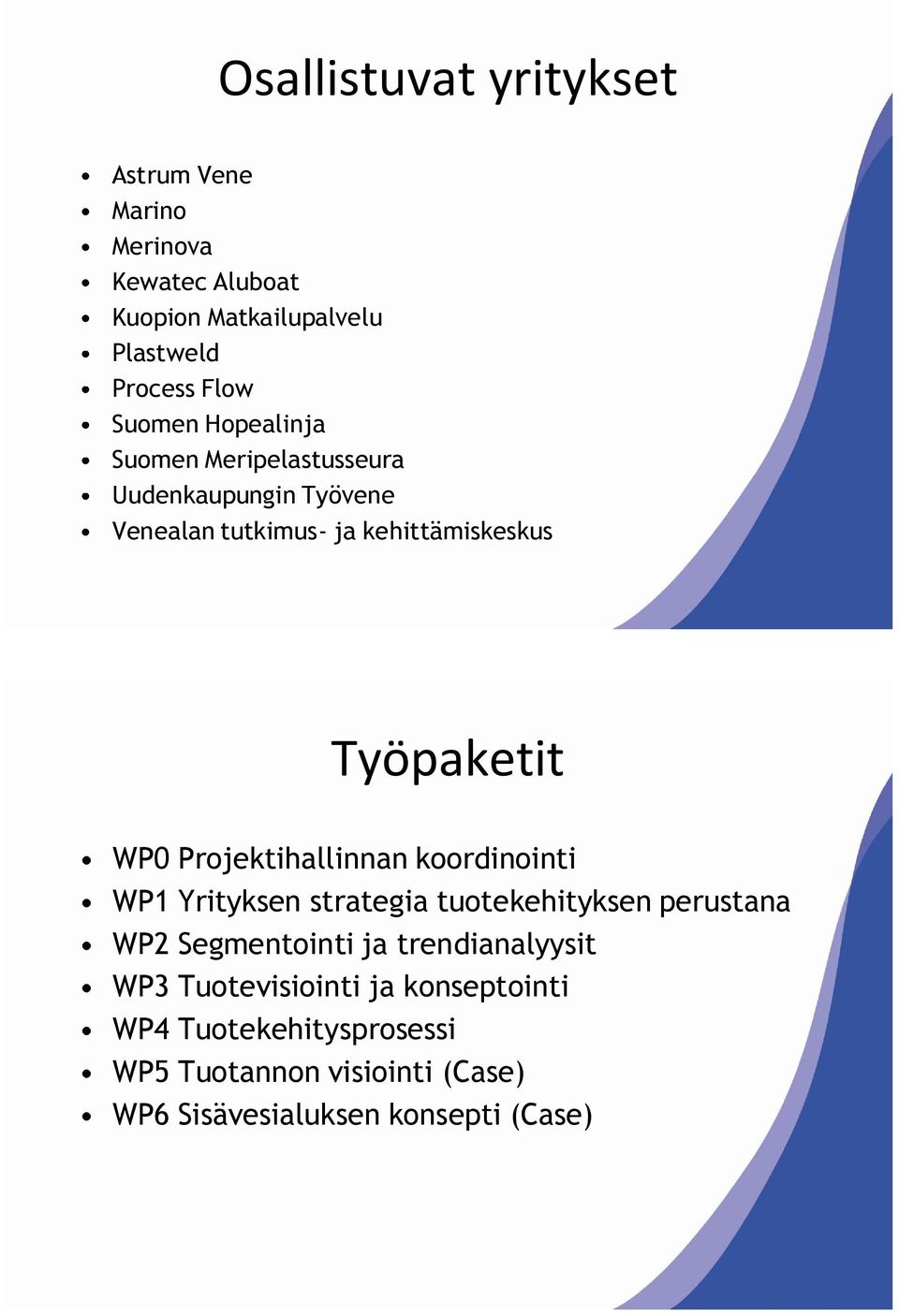 Projektihallinnan koordinointi WP1 Yrityksen strategia tuotekehityksen perustana WP2 Segmentointi ja trendianalyysit