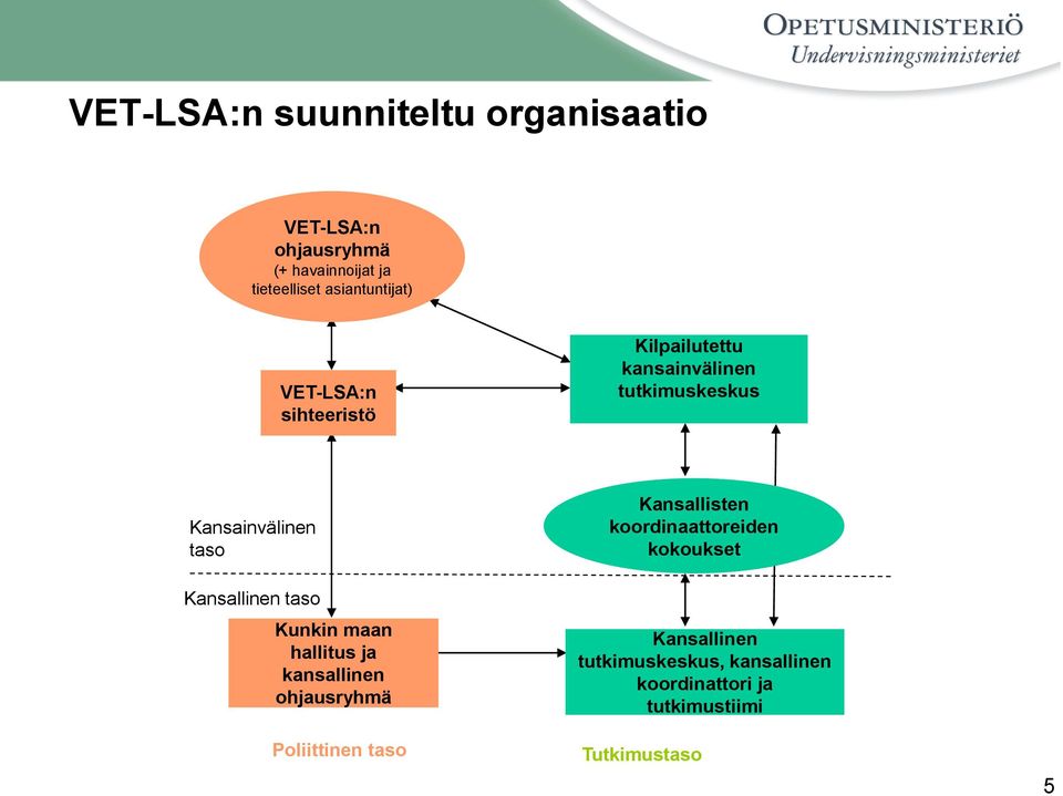taso Kansallinen taso Kunkin maan hallitus ja kansallinen ohjausryhmä Poliittinen taso Kansallisten