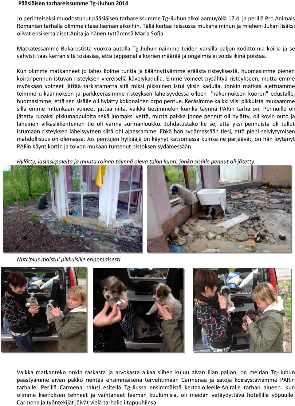 Matkatessamme Bukarestista vuokra-autolla Tg-Jiuhun näimme teiden varsilla paljon kodittomia koiria ja se vahvisti taas kerran sitä tosiasiaa, että tappamalla koirien määrää ja ongelmia ei voida