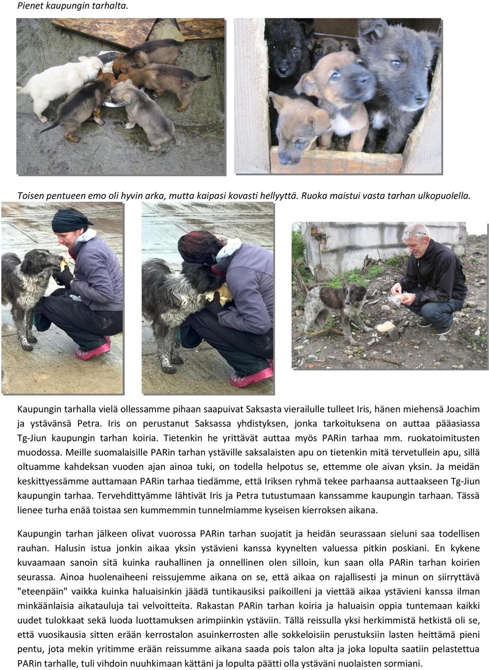 Iris on perustanut Saksassa yhdistyksen, jonka tarkoituksena on auttaa pääasiassa Tg-Jiun kaupungin tarhan koiria. Tietenkin he yrittävät auttaa myös PARin tarhaa mm. ruokatoimitusten muodossa.