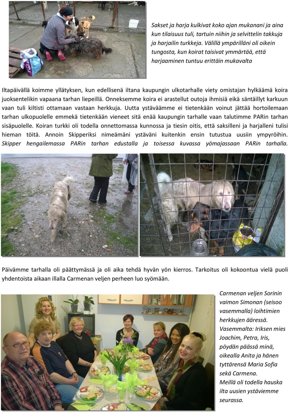 omistajan hylkäämä koira juoksentelikin vapaana tarhan liepeillä. Onneksemme koira ei arastellut outoja ihmisiä eikä säntäillyt karkuun vaan tuli kiltisti ottamaan vastaan herkkuja.