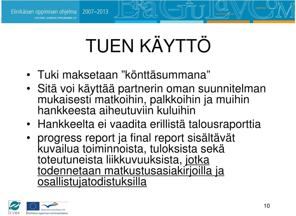 talousraporttia progress report ja final report sisältävät kuvailua toiminnoista, tuloksista sekä