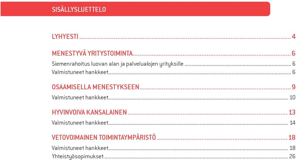 .. 6 OSAAMISELLA MENESTYKSEEN...9 Valmistuneet hankkeet... 10 hyvinvoiva kansalainen.