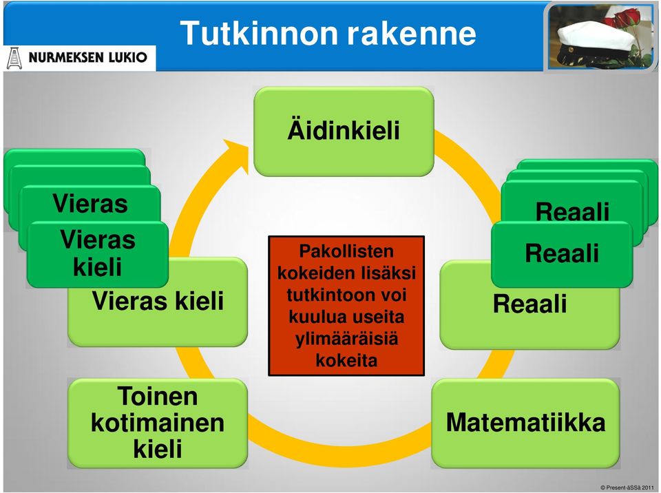 kokeiden lisäksi tutkintoon voi kuulua useita