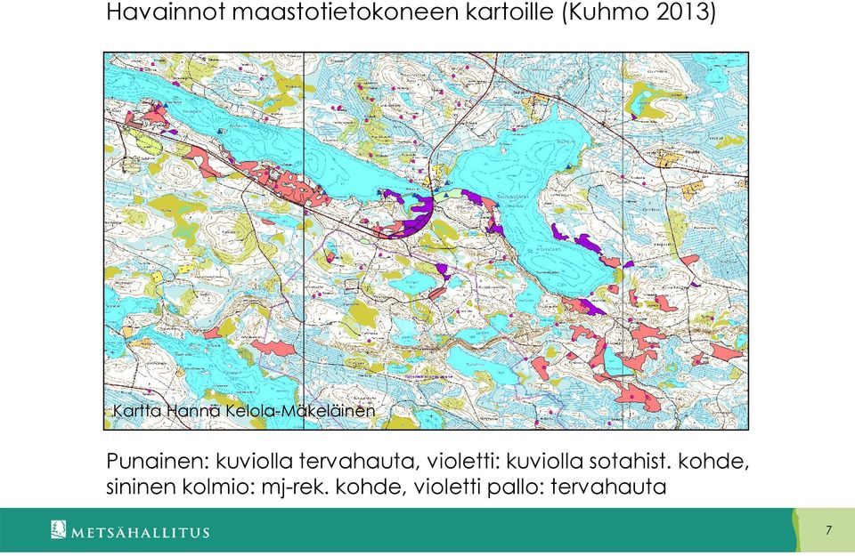 tervahauta, violetti: kuviolla sotahist.