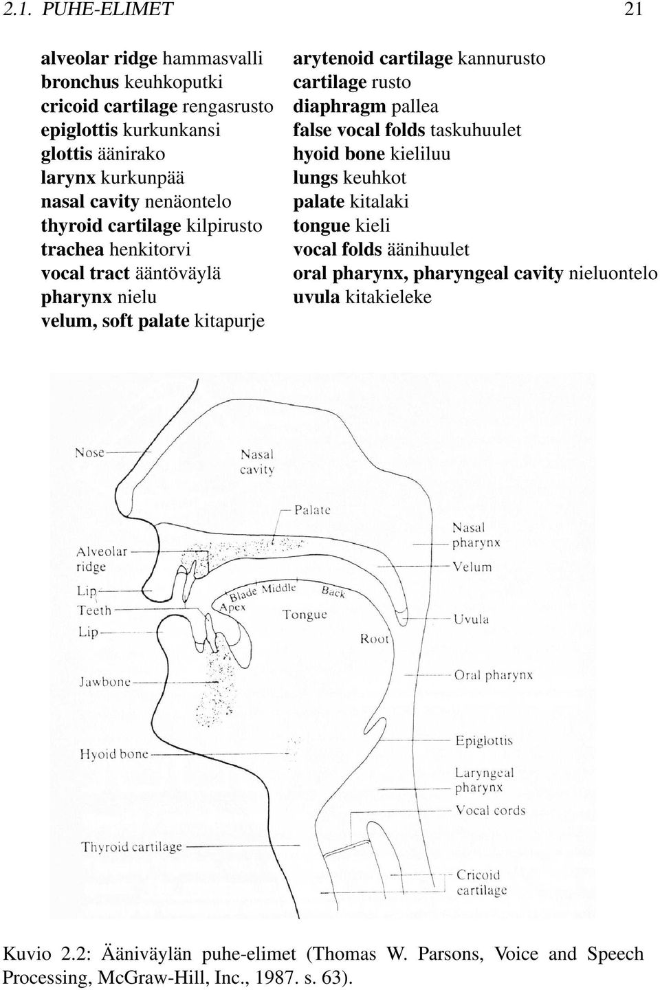 cartilage rusto diaphragm pallea false vocal folds taskuhuulet hyoid bone kieliluu lungs keuhkot palate kitalaki tongue kieli vocal folds äänihuulet oral pharynx,