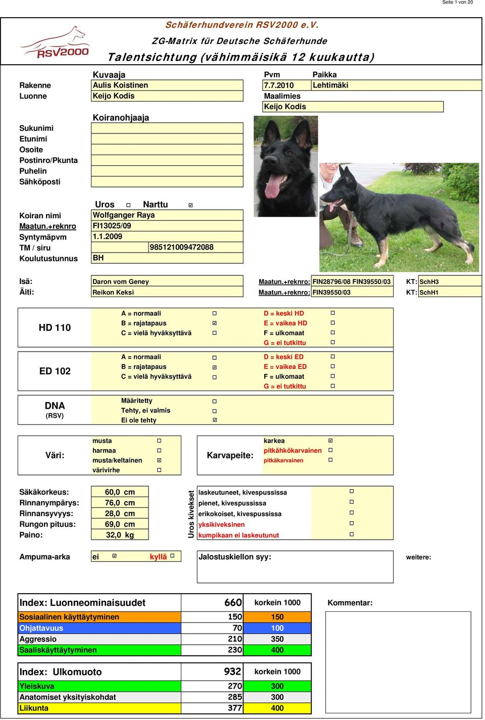 +reknro Syntymäpvm TM / siru Koulutustunnus Uros Narttu Wolfganger Raya FI02/09..2009 982009472088 BH Schäferhundverein RSV2000 e.v. ZG-Matrix für Deutsche Schäferhunde Talentsichtung (vähimmäisikä 2 kuukautta) Bilder Isä: Daron vom Geney Maatun.