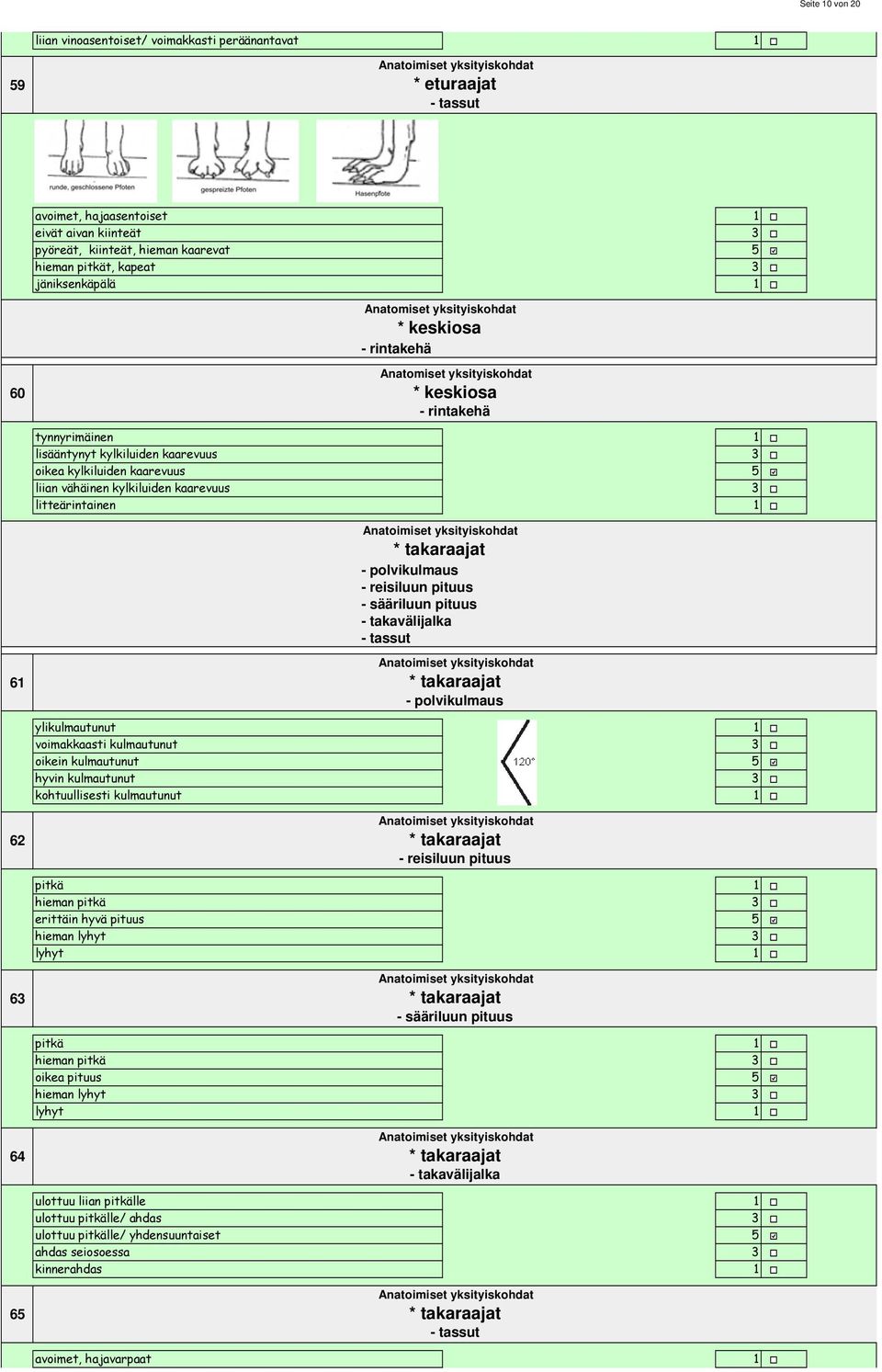 vähäinen kylkiluiden kaarevuus litteärintainen 6 * takaraajat - polvikulmaus - reisiluun pituus - sääriluun pituus - takavälijalka - tassut * takaraajat - polvikulmaus ylikulmautunut voimakkaasti