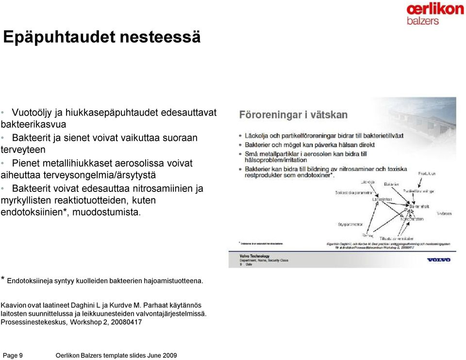 endotoksiinien*, muodostumista. * Endotoksiineja syntyy kuolleiden bakteerien hajoamistuotteena. Kaavion ovat laatineet Daghini L ja Kurdve M.