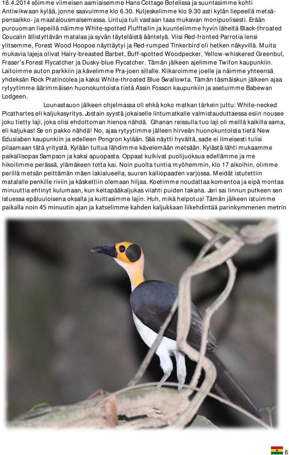 Erään purouoman liepeillä näimme White-spotted Flufftailin ja kuuntelimme hyvin läheltä Black-throated Coucalin ällistyttävän matalaa ja syvän täyteläistä ääntelyä.