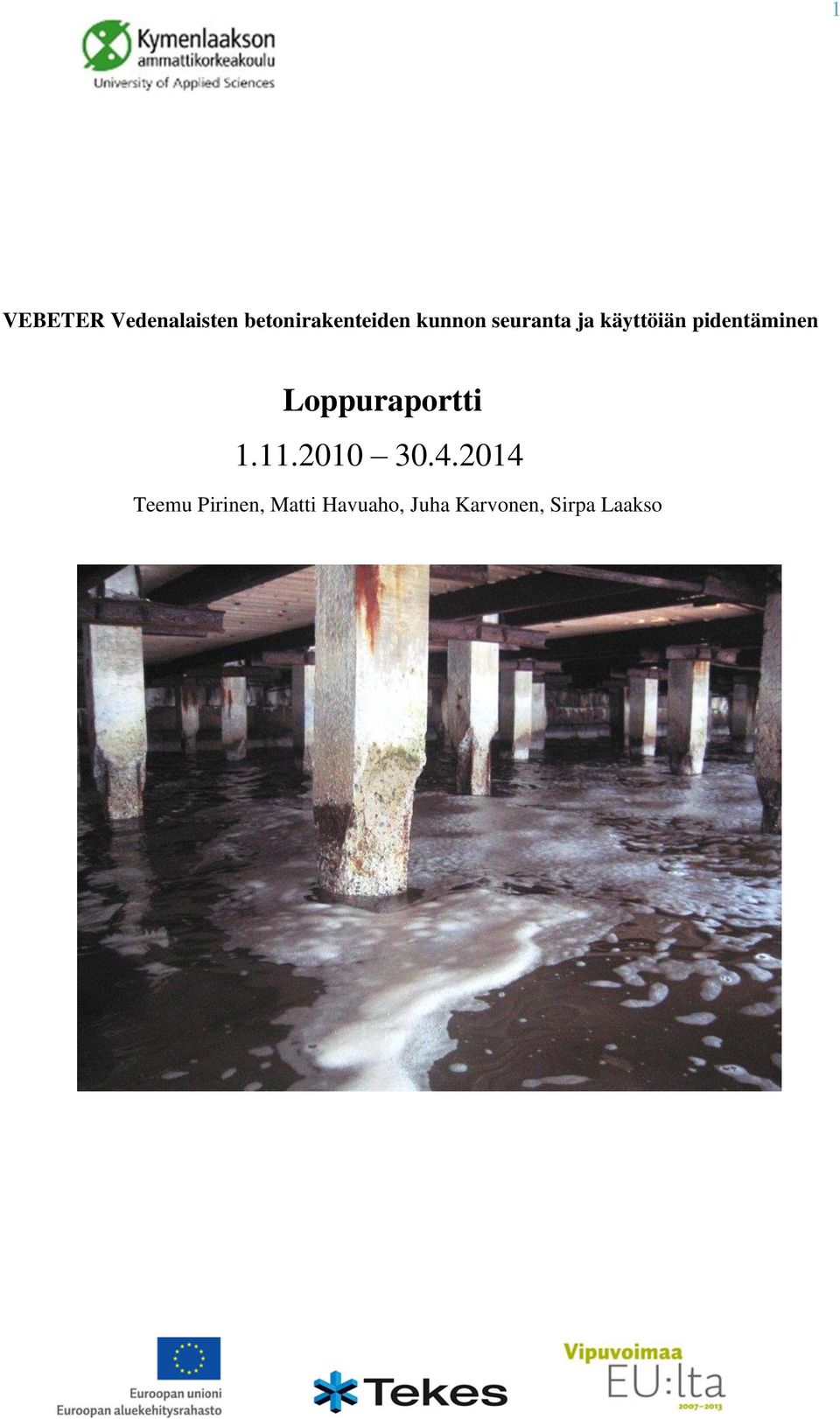 Loppuraportti 1.11.2010 30.4.