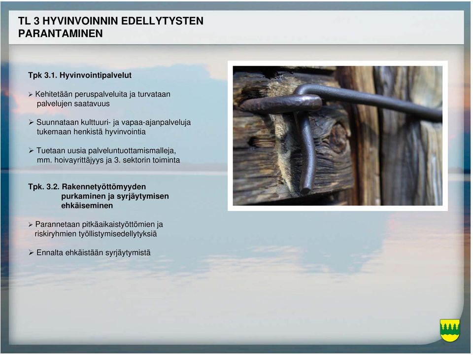 vapaa-ajanpalveluja tukemaan henkistä hyvinvointia Tuetaan uusia palveluntuottamismalleja, mm. hoivayrittäjyys ja 3.