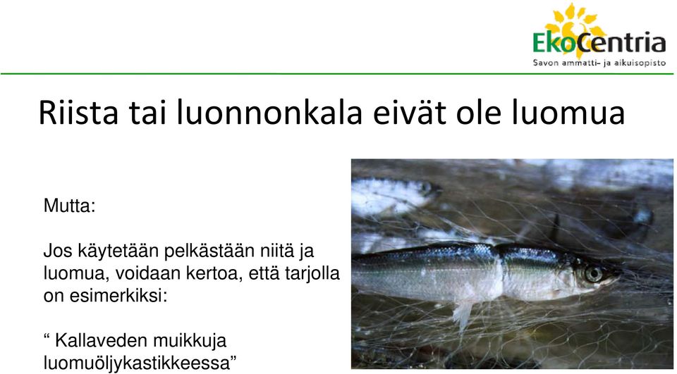 luomua, voidaan kertoa, että tarjolla on