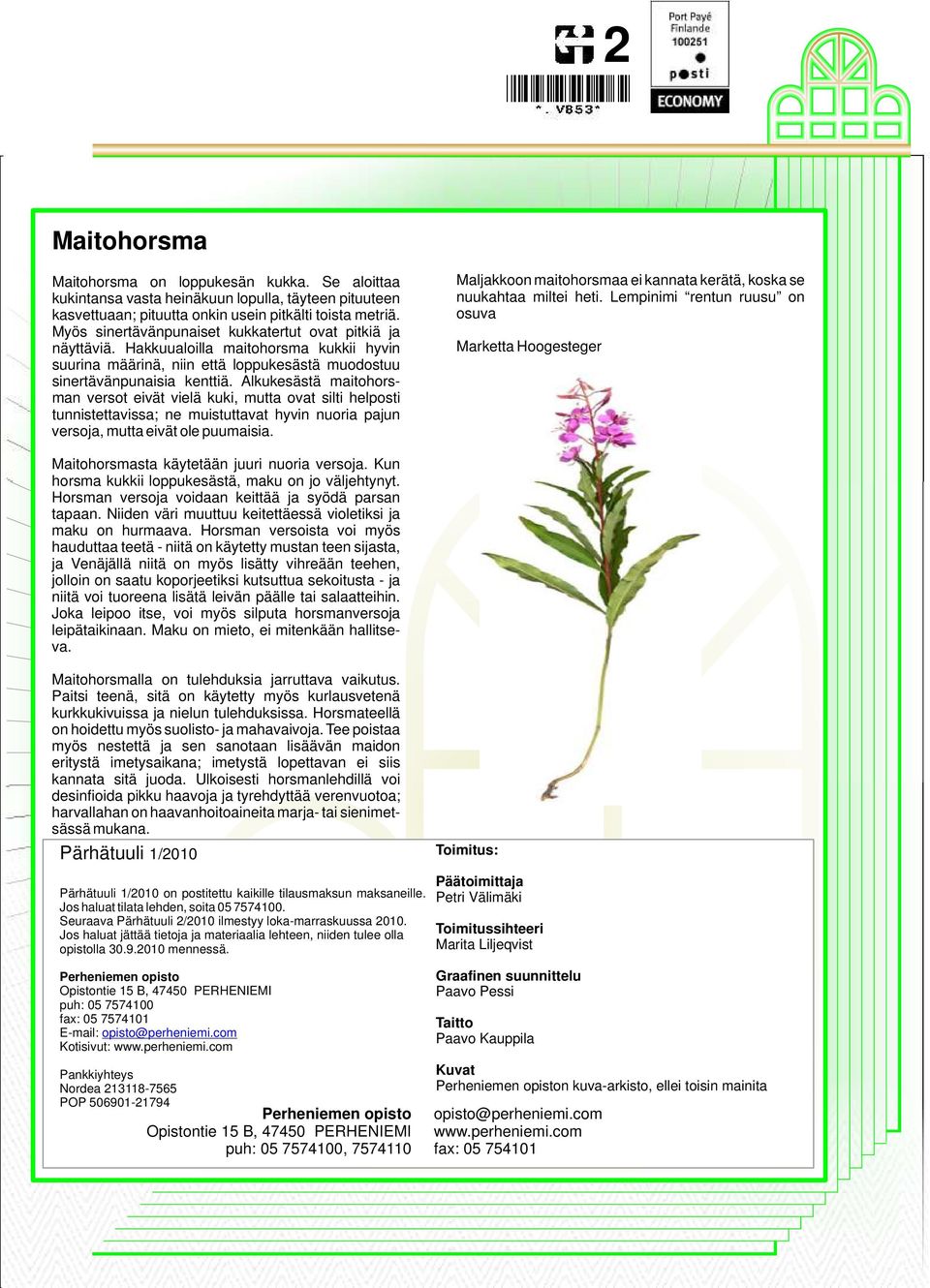 Alkukesästä maitohorsman versot eivät vielä kuki, mutta ovat silti helposti tunnistettavissa; ne muistuttavat hyvin nuoria pajun versoja, mutta eivät ole puumaisia.