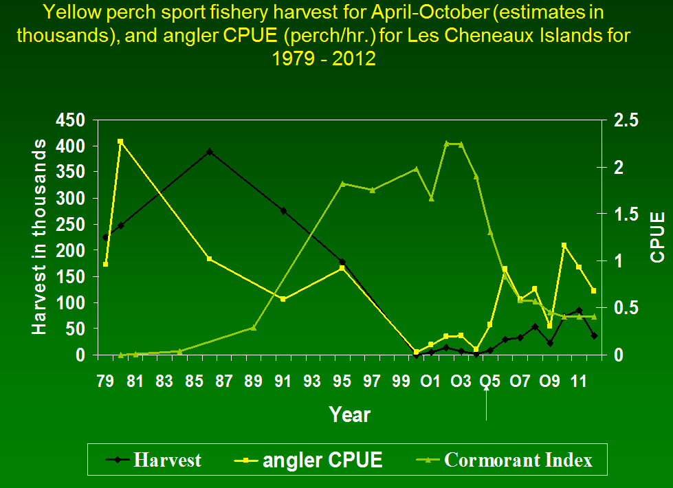 Yellow Perch Collapse in the Les Cheneaux Islands and Recovery through