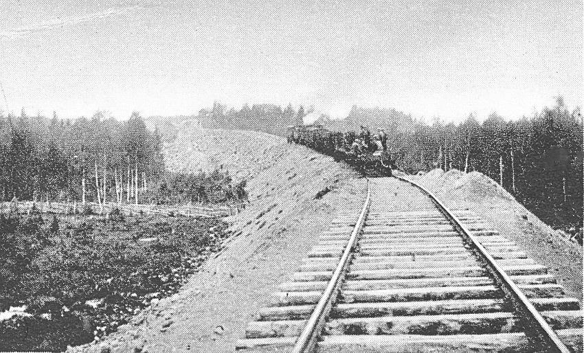 History The railway embankments are very old, most of them are built before 1940 s. Subsoil varies a lot (a roundpole fence under the embankment in the Figure).