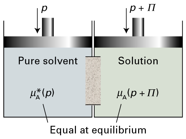 Virtaus pysähtyy tasapaino8lanteessa: µ A *(p) = µ A (x A, p + Π) µ A (x A, p + Π) = µ A *(p + Π)+ RT ln x A Kemiallisen poten8aalin riippuvuus paineesta (vrt.