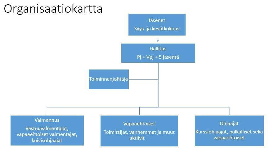 Seuran organisaatio ja vastuualueet Hallitus ja muut roolit Seuran hallituksen rooleihin kuuluu puheenjohtaja, varapuheenjohtaja, sihteeri, rahastonhoitaja, aikuisuintivastaava ja nuorisovastaava